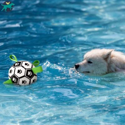 jouet-pour-chien-étanche