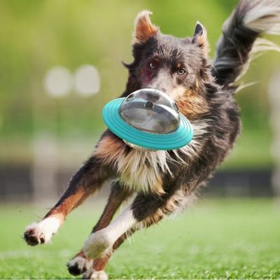 jouet-pour-chien-frisbee