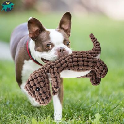 jouet-pour-chien-indestructible-marron