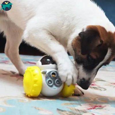 jouet-pour-chien-jaune
