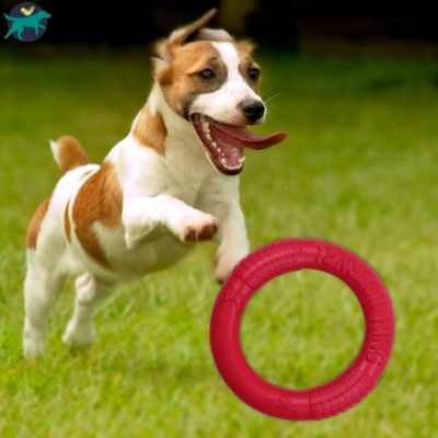 JOUET POUR CHIEN | Fetch-Ring™