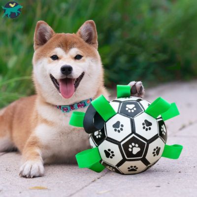 jouet-pour-chien-solide