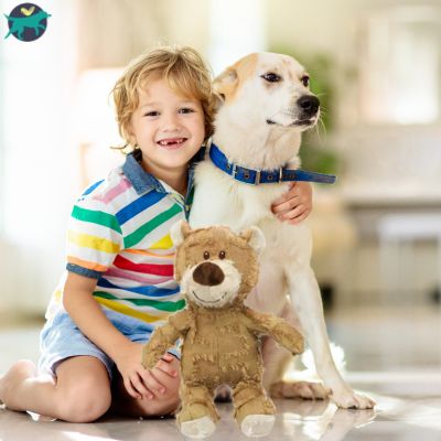 jouet-pour-gros-chien