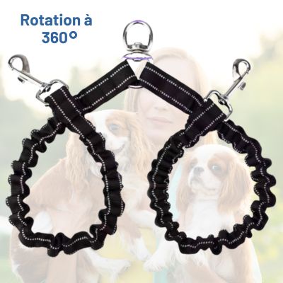 laisse-double-pour-chien-noir_5e49303c-a331-4446-b4f6-13d8cbc8a2cb