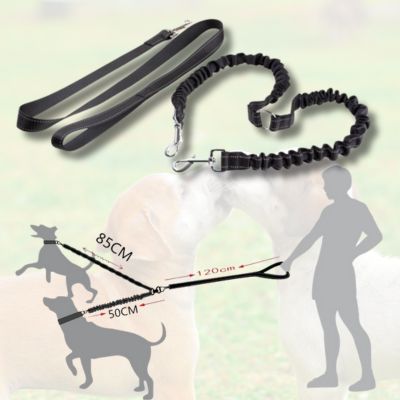 laisse-double-pour-chien-rotation-360-degre