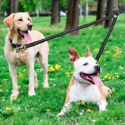 laisse-double-pour-chien-taille-moyenne