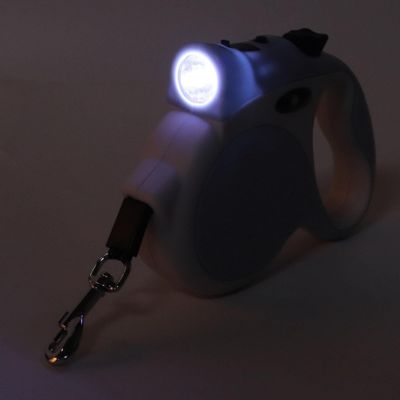 laisse pour chien avec lampe