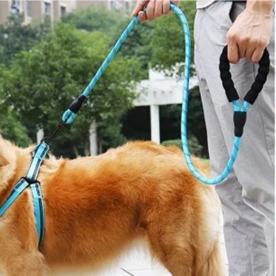 laisse-pour-chien-corde-bleu-grand-chien