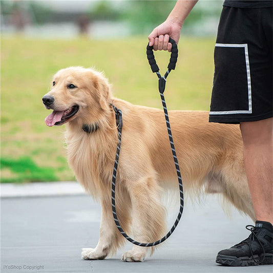 laisse-pour-chien-corde-noir-durable