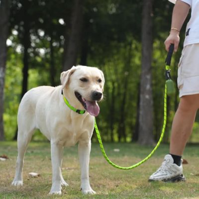 laisse-pour-chien-corde-verte