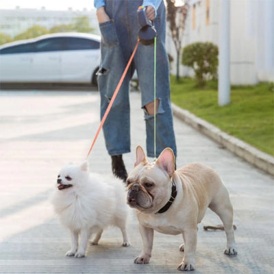laisse-pour-chien-double-avec-lumiere-orange-vert