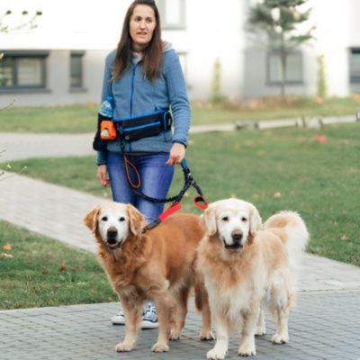 laisse-pour-chien-double-grands-chiens