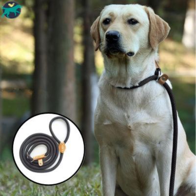 laisse-pour-chien-durable_465b0b22-ea65-46bb-b845-4f5605157194