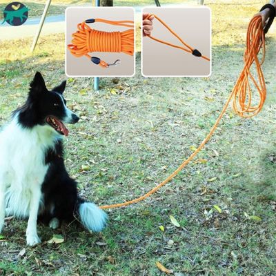 laisse-pour-chien-grand