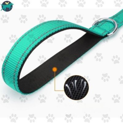 laisse pour chien legere