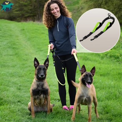 laisse pour chien noir double poignees vertes