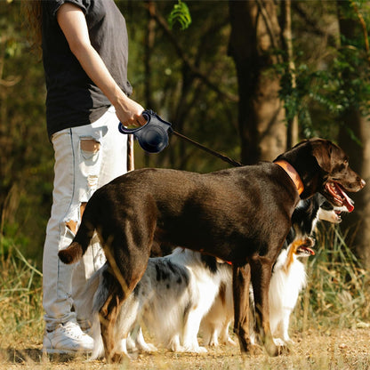 laisse pour chien noir
