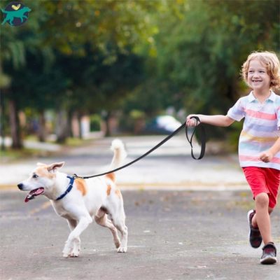 laisse pour chien noir