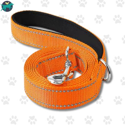 laisse pour chien nylon