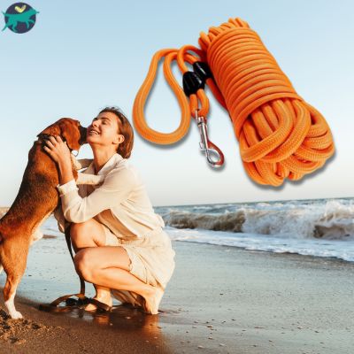 laisse-pour-chien-plage_392ef622-f624-4940-9c3b-3812d717c474
