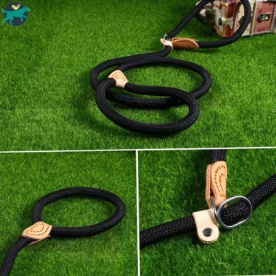 laisse-pour-chien-reglable_493ba575-34b2-4624-986a-d7dceb97917d