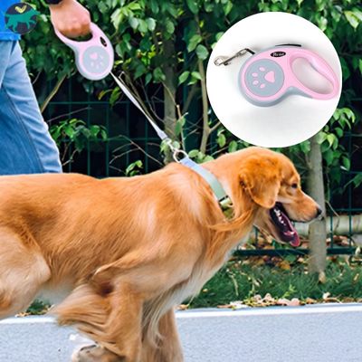 laisse-pour-chien-rose_5de4b2bc-54f4-452d-a874-9348308a6e00