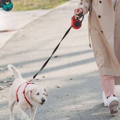 laisse-pour-chien-rouge