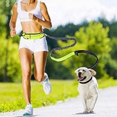 laisse-pour-chien-vert-noir