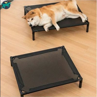 lit-de-camp-pour-chien-noir