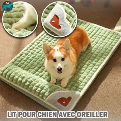 lit-pour-chien-rectangle