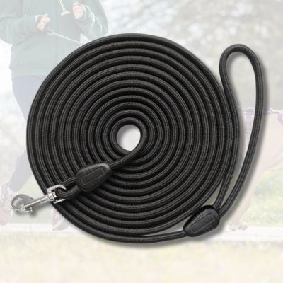 longe-chien-corde-noir-solide