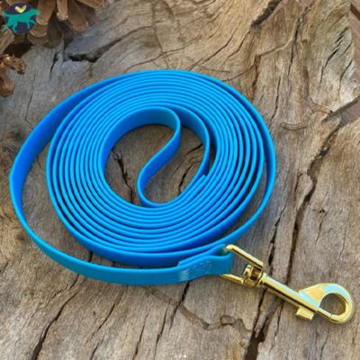 longe-pour-chien-bleu