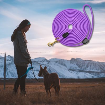 longe-pour-chien-corde-pourpre-souple