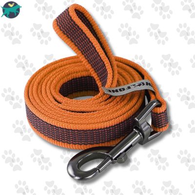 longe-pour-chien-longe-orange