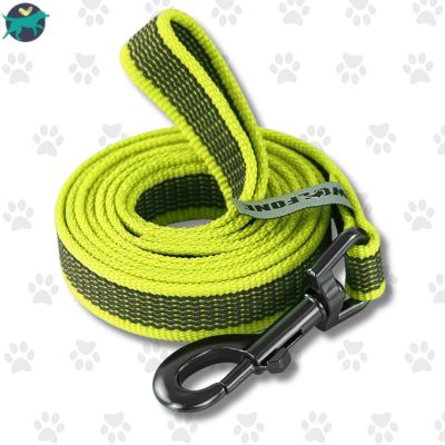 longe-pour-chien-longe-verte