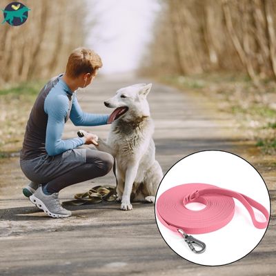 longe-pour-chien-longue-rose
