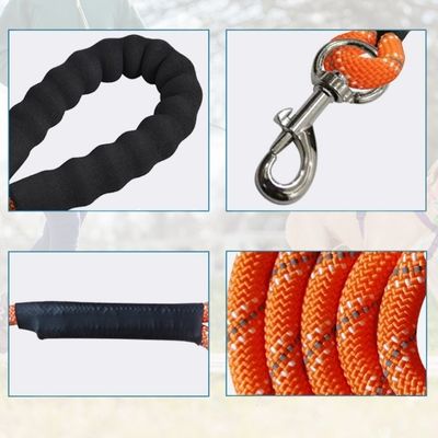 longe-pour-chien-orange-caracteristique