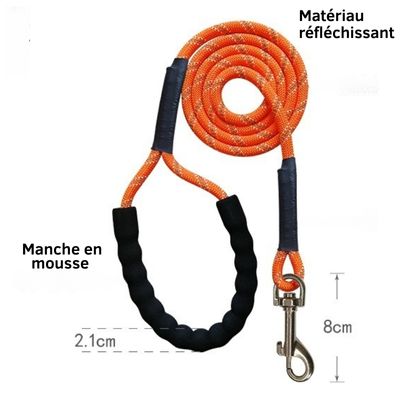 longe-pour-chien-orange-caracteristiques