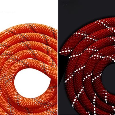 longe-pour-chien-orange-corde-solide