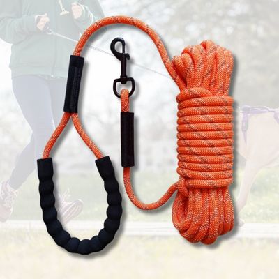 longe-pour-chien-orange-corde