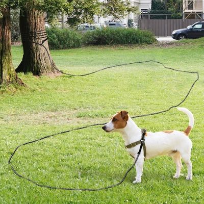 longe-pour-chien-poignee-mousse-corde-noir