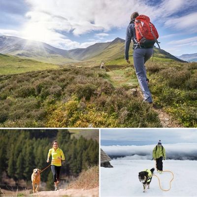 onge-pour-chien-temoignages-clients_9aab97b9-d570-494b-a094-91744eea2359