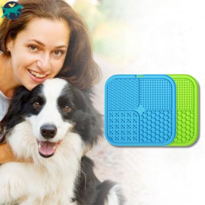 lot deux tapis pour chien