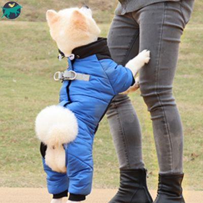 manteau-chien-bleu_3e13237e-220d-4013-9b6e-17297e9b8f24