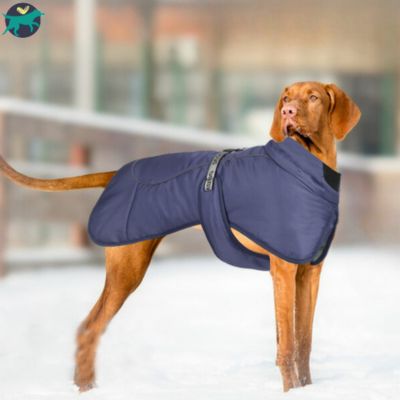 Manteau Chien  | PawCape™