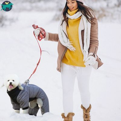 manteau-chien-chaud_94ac29b2-0b06-4546-9e11-ee0edbf77160