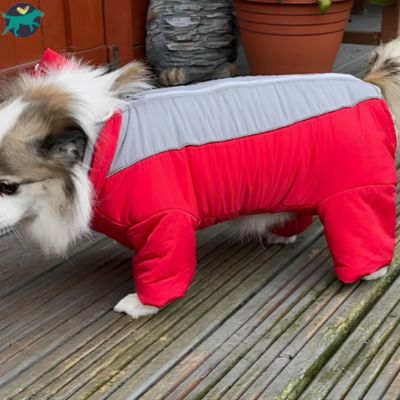 Manteau Chien | PuppyPants-R™