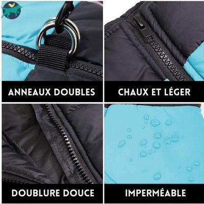 manteau-chien-doux