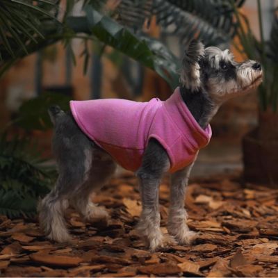 manteau-chien-mauve-sans-manches