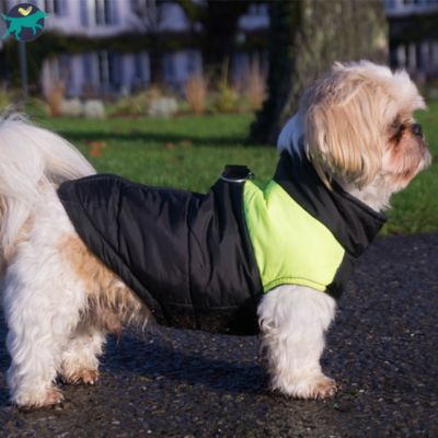 Manteau Chien | Rainy-Day™